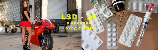крисы Аркадак