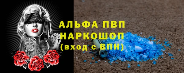 крисы Аркадак