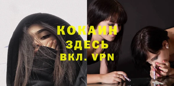 крисы Аркадак